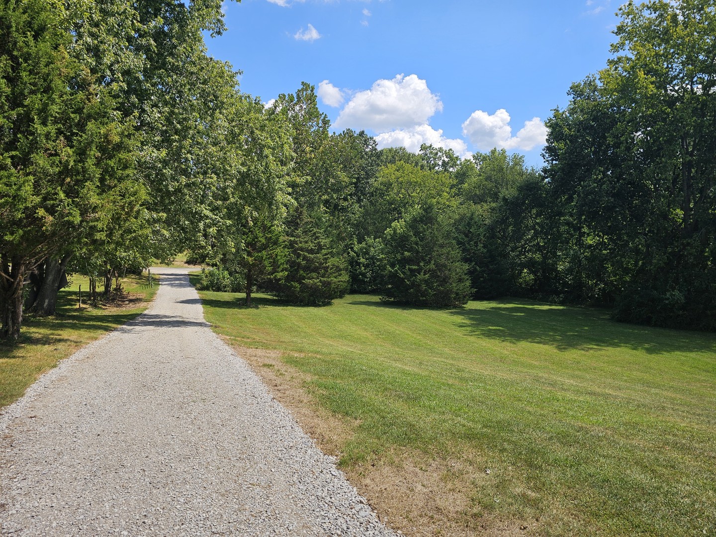 2673 County Farm Road Property Photo 11