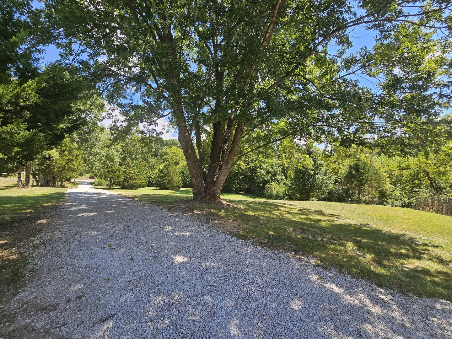 2673 County Farm Road Property Photo 15