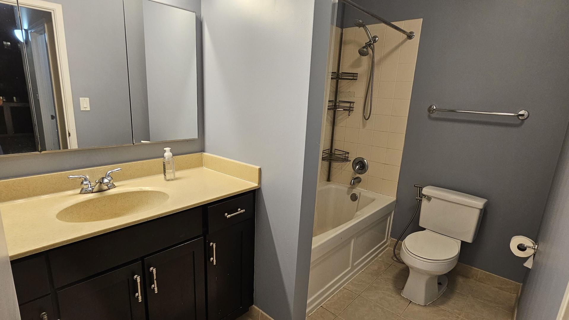 222 N Columbus Drive 3102 Property Photo 7