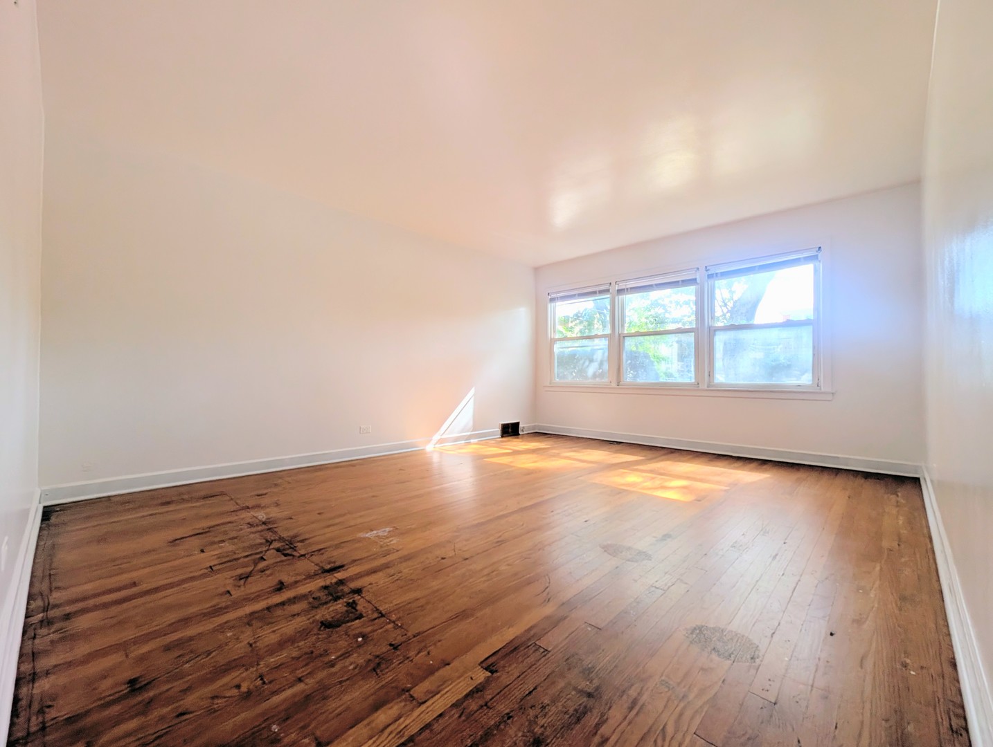 2816 W Summerdale Avenue 1e Property Photo 2