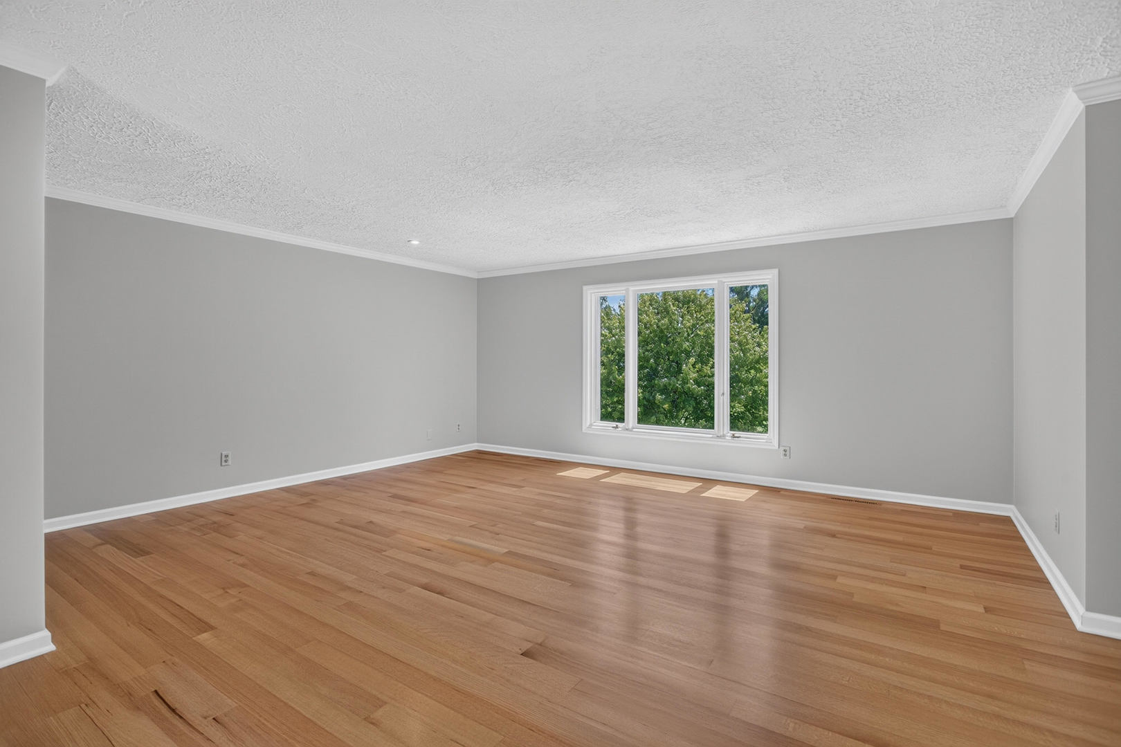 4817 Torrey Pines Court Property Photo 16