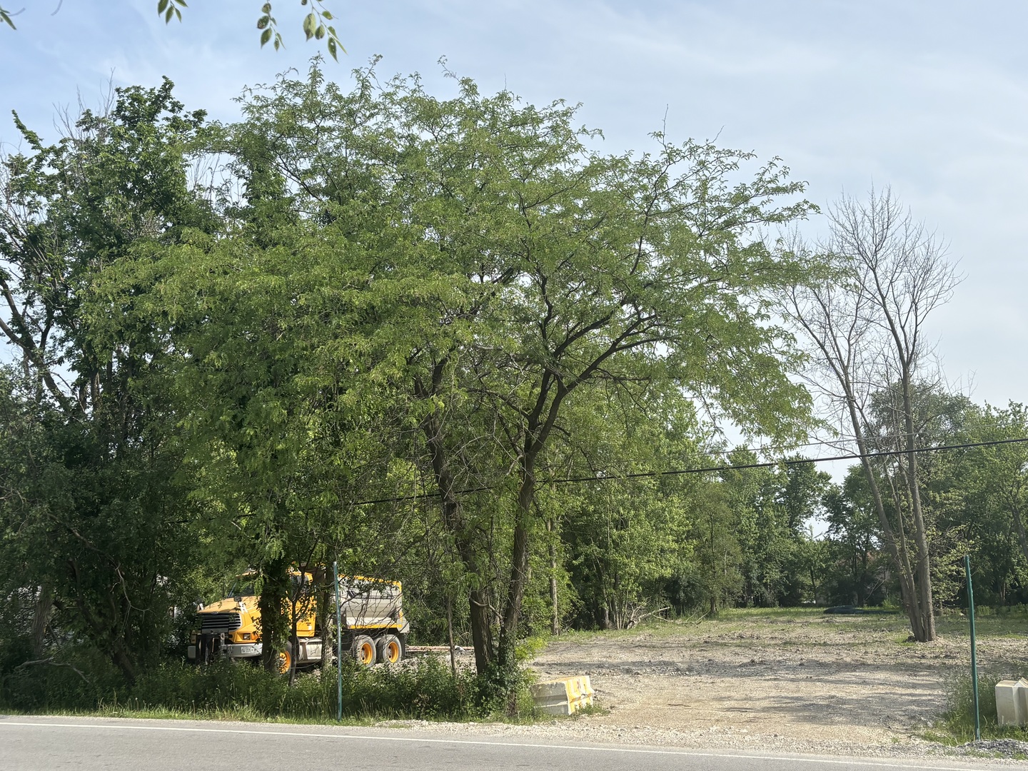 3949 Flossmoor Road Property Photo 3