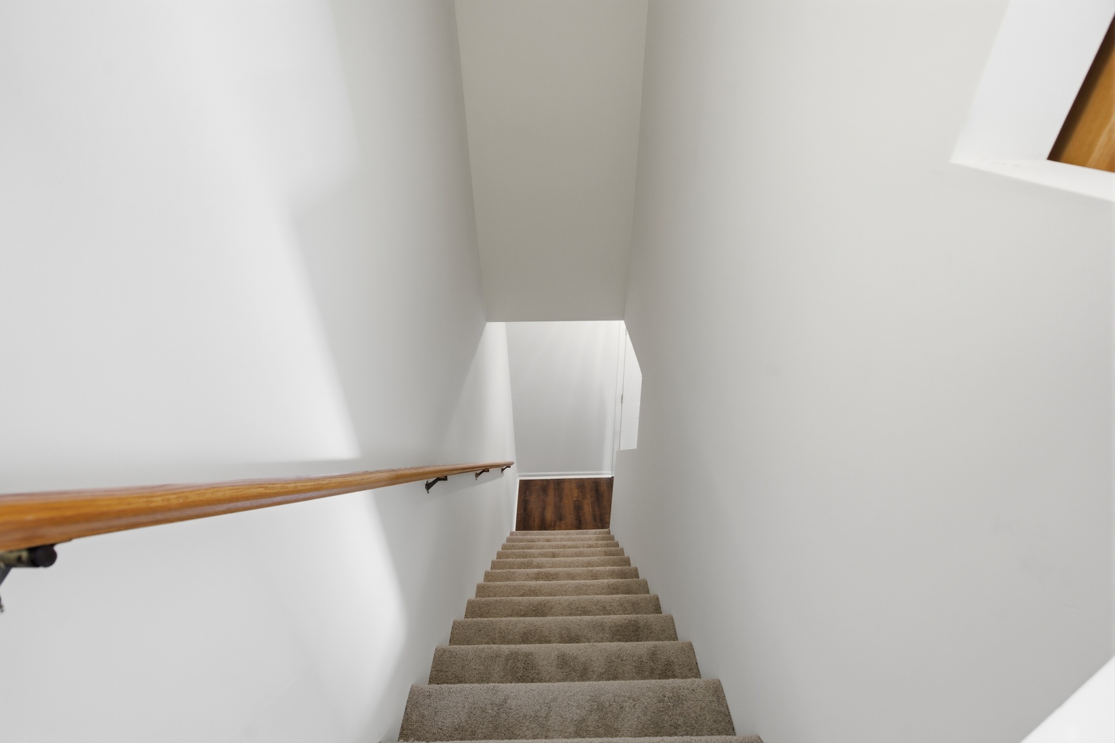 1651 Linden Park Lane Property Photo 20