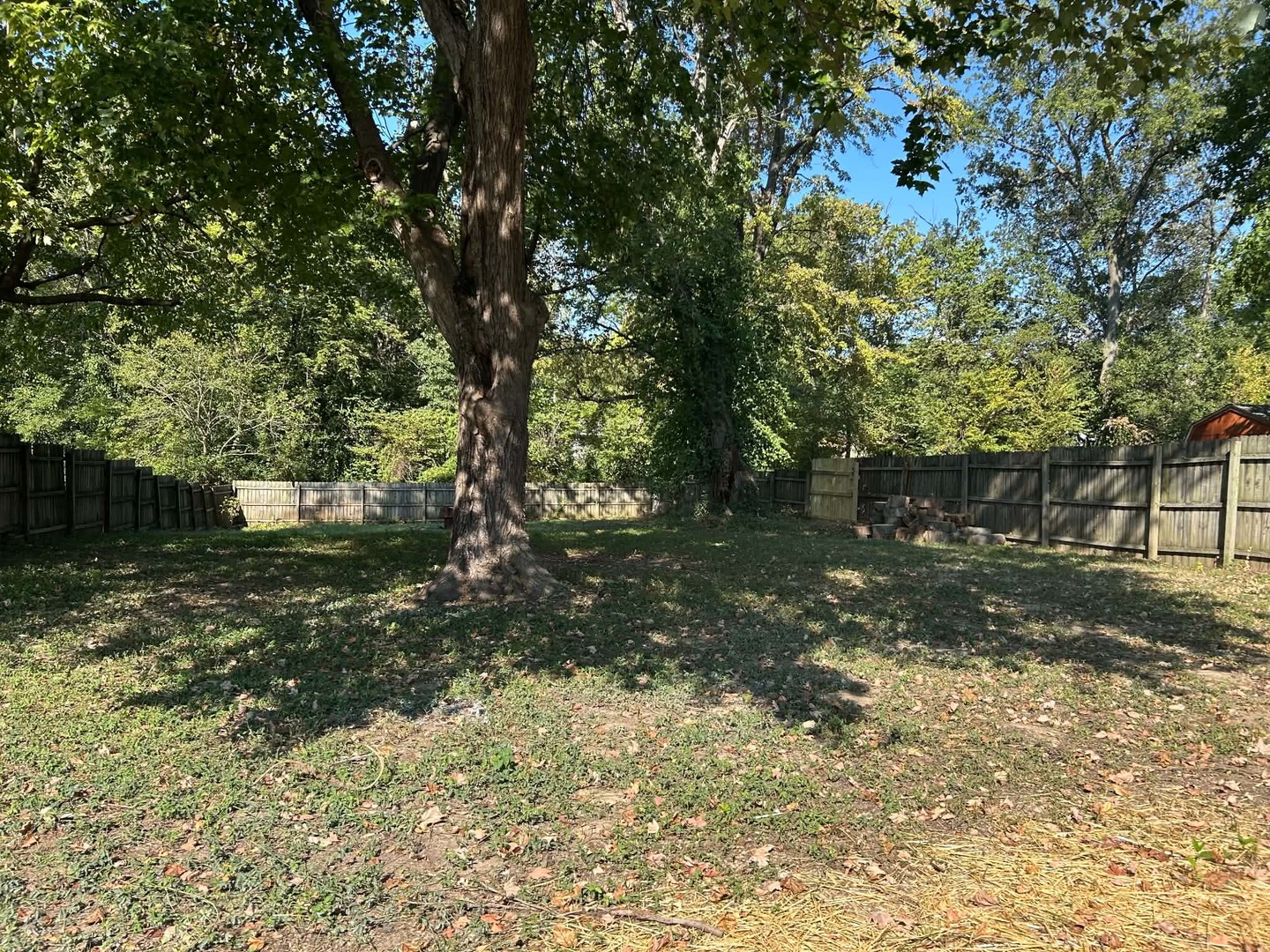 433 Marteeny Street Property Photo 16