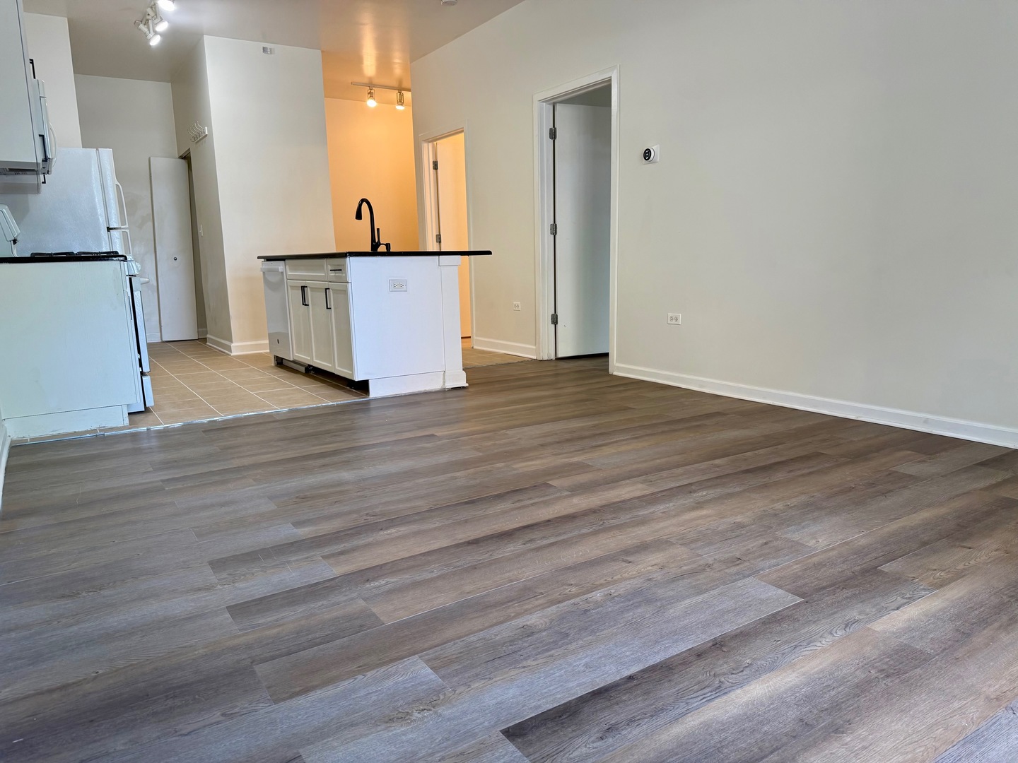 1351 S Halsted Street 105 Property Photo 2