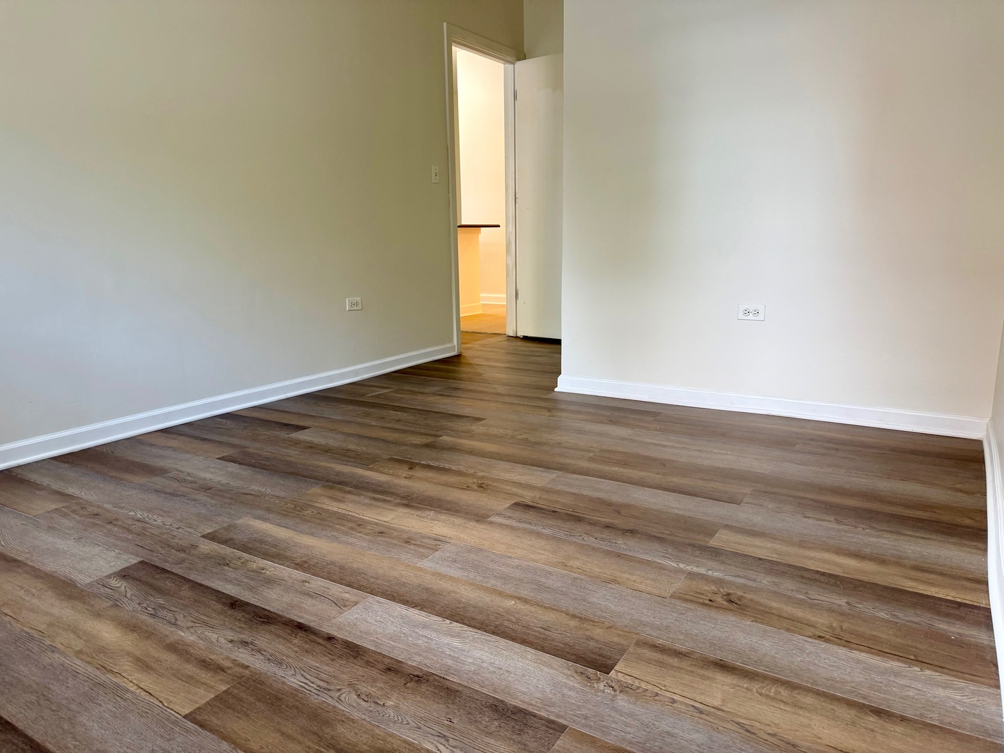 1351 S Halsted Street 105 Property Photo 6