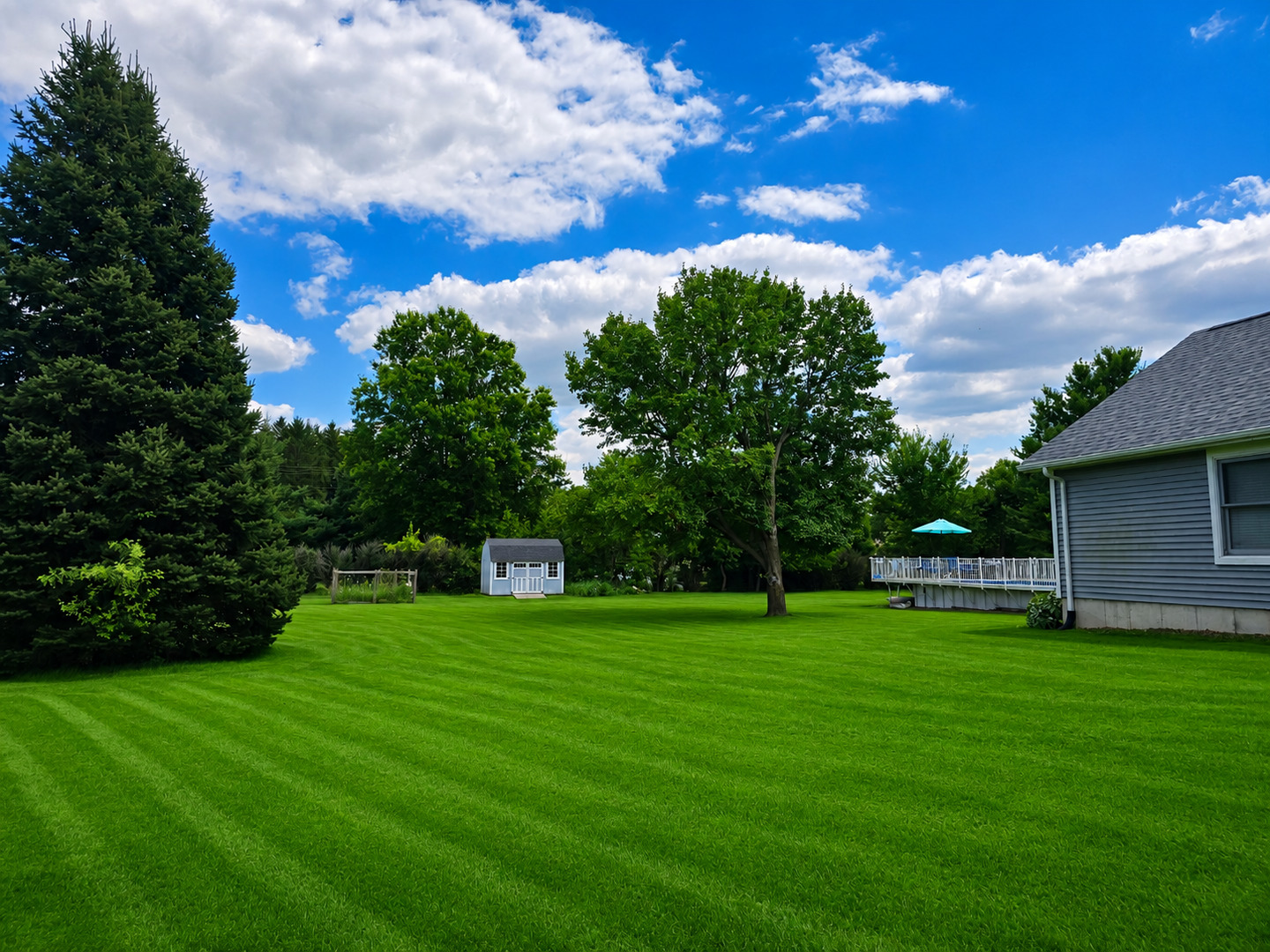 2335 Timber Ridge Drive Property Photo 44