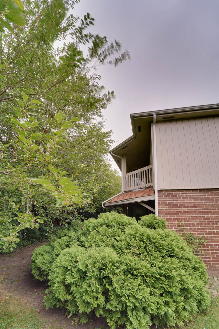 74 Terry Drive C Property Photo 15