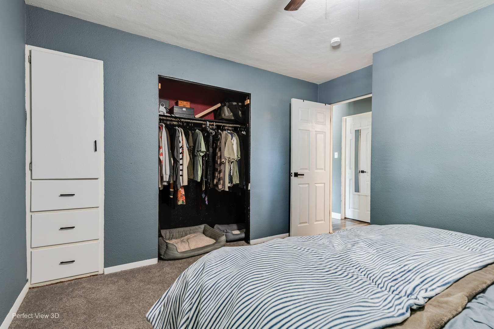 1005 Frederick Street Property Photo 12
