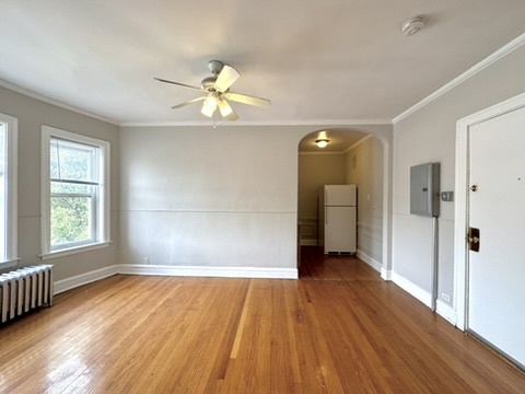 1301 W Argyle Street 306 Property Photo 2