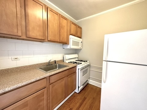 1301 W Argyle Street 306 Property Photo 8