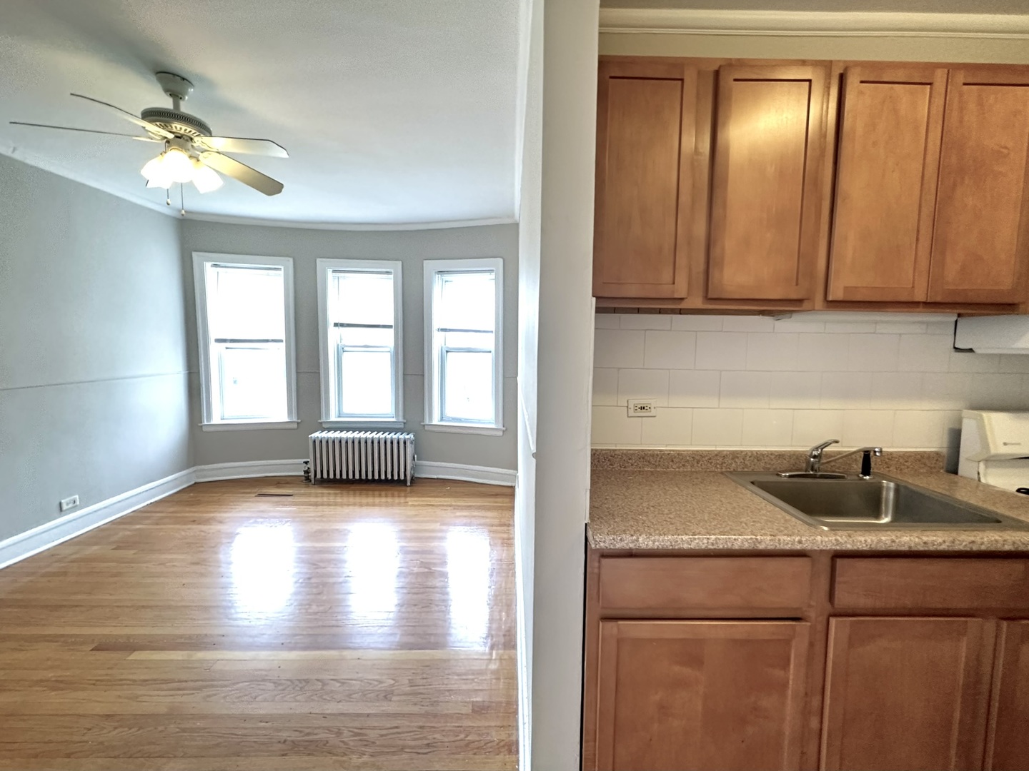1301 W Argyle Street 306 Property Photo 10