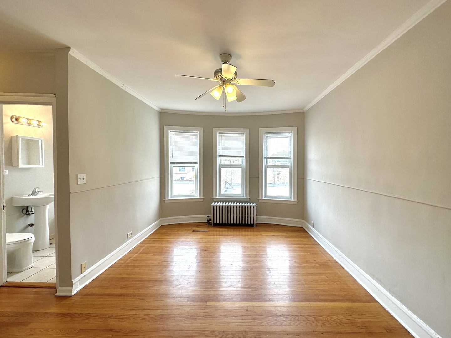 1301 W Argyle Street 306 Property Photo 11