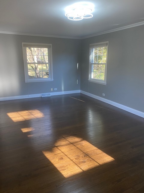 405 Blue Grass Court Property Photo 17