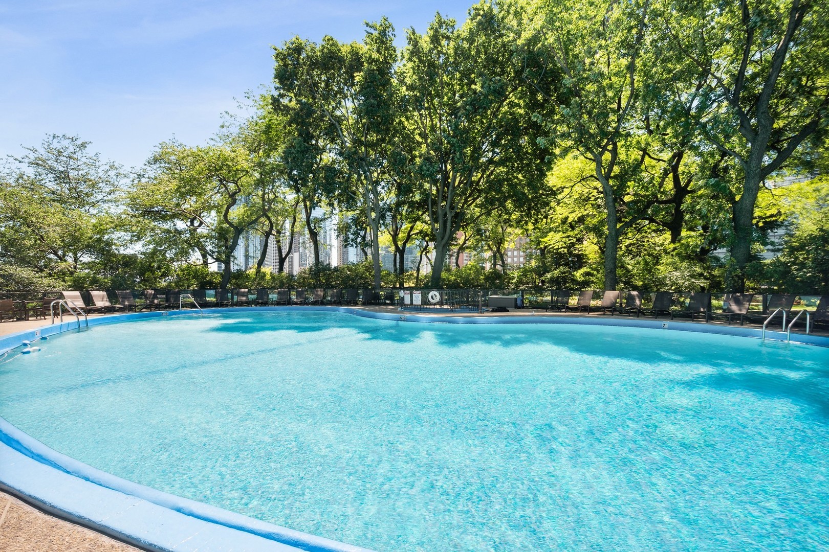 505 N Lake Shore Drive 6203 Property Photo 21