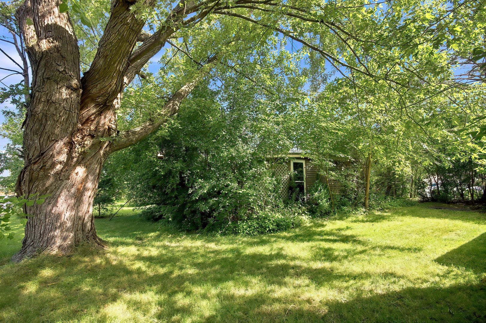 6540 245th Avenue Property Photo 2