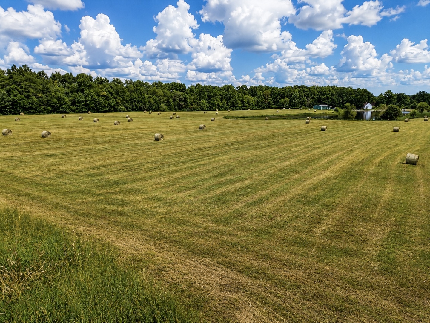 7507 Krutsinger Road Property Photo 12