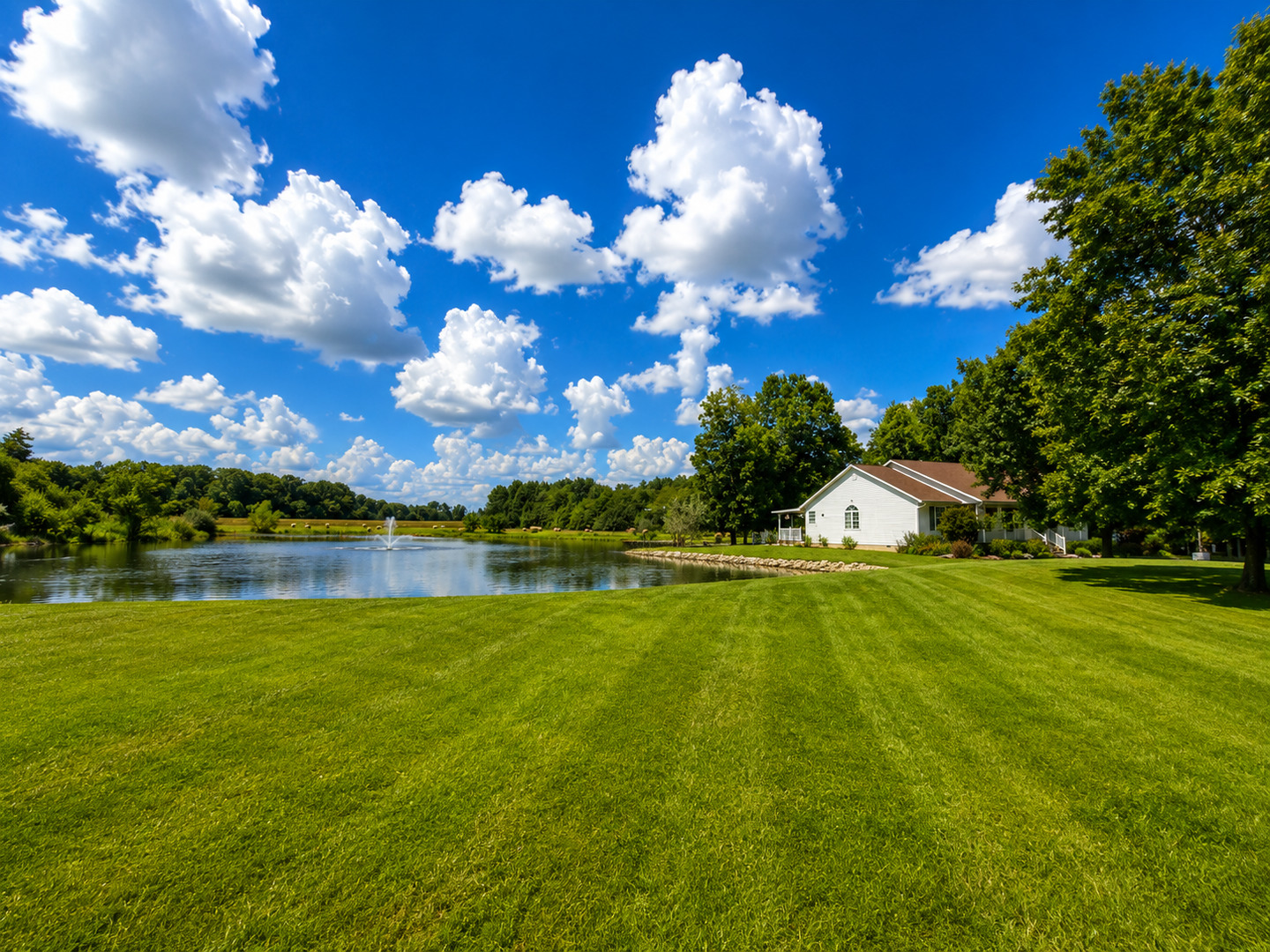 7507 Krutsinger Road Property Photo 94