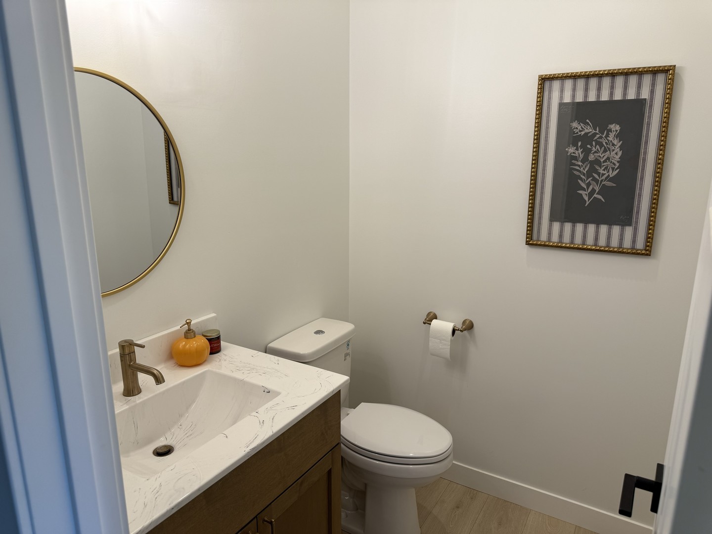 237 W Torrey Pines Drive Property Photo 22