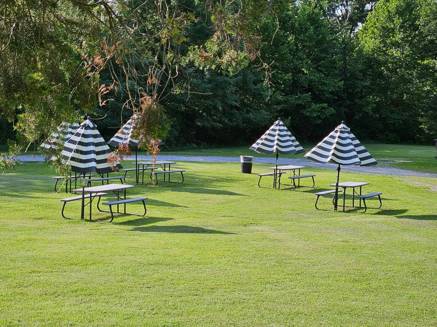 8193 Old Highway 13 Property Photo 49