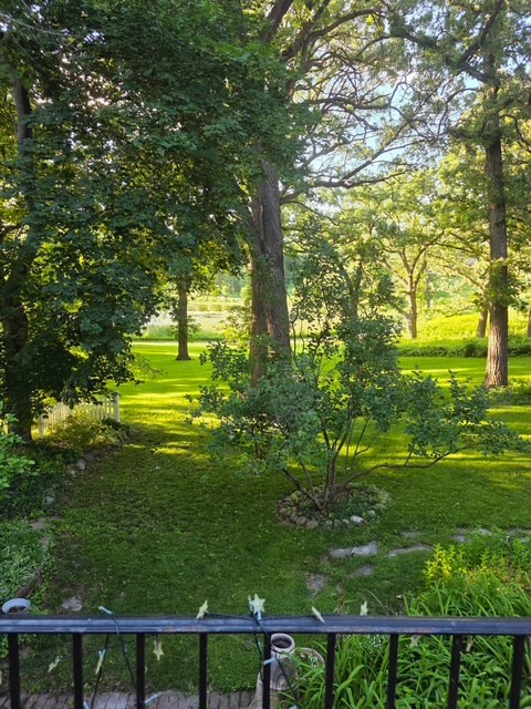 58 E Terra Cotta Avenue Property Photo 30