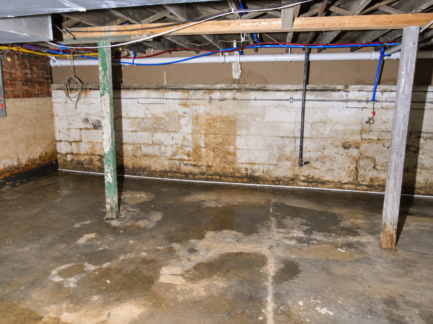 603 Union Avenue Property Photo 10