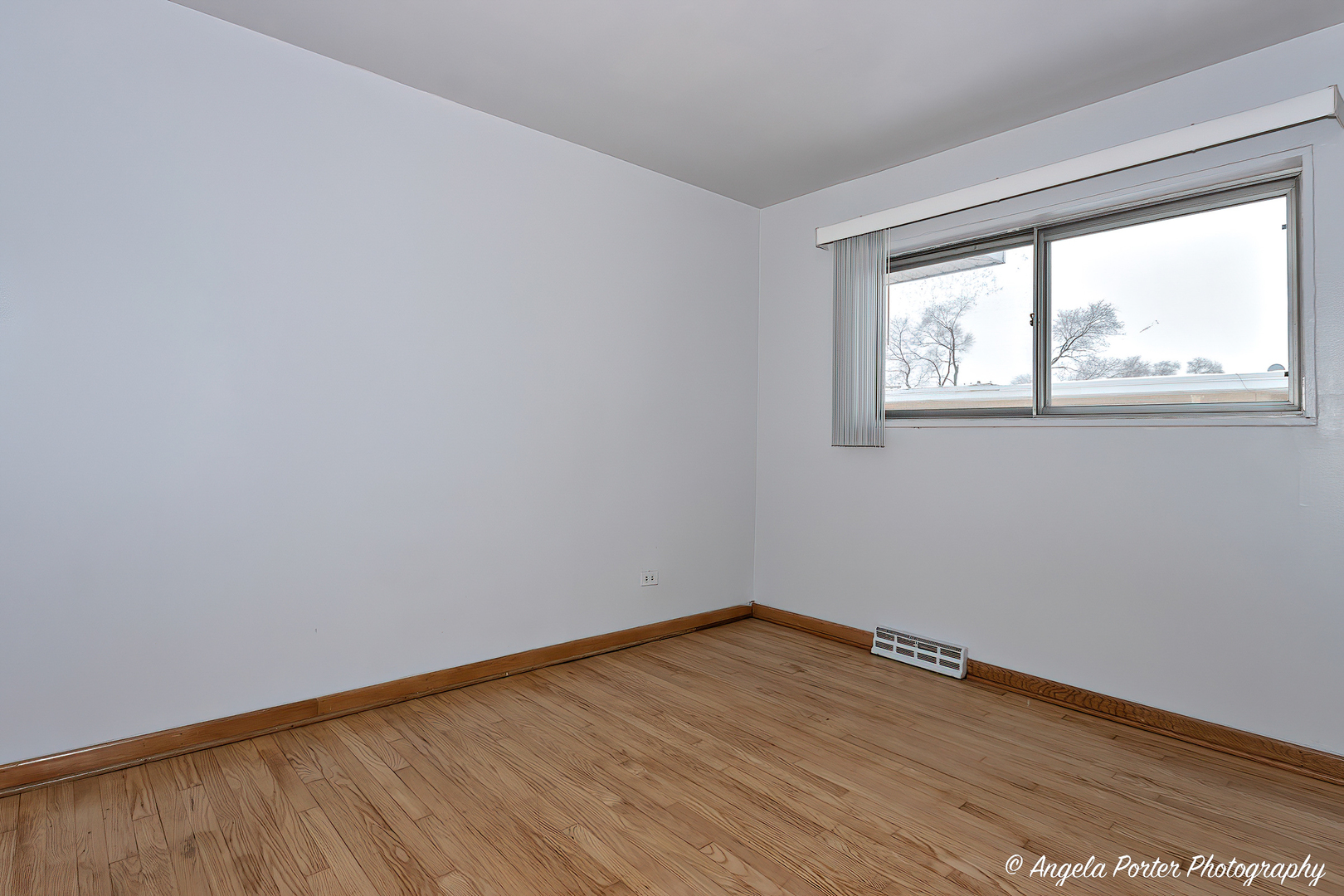 43 E Judith Ann Drive Property Photo 15