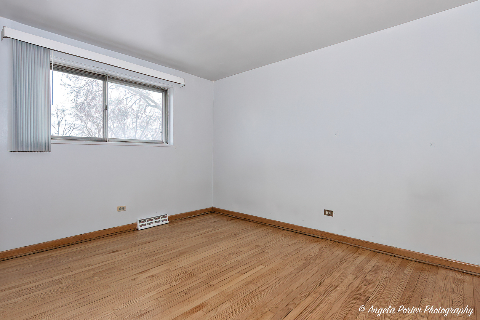 43 E Judith Ann Drive Property Photo 17