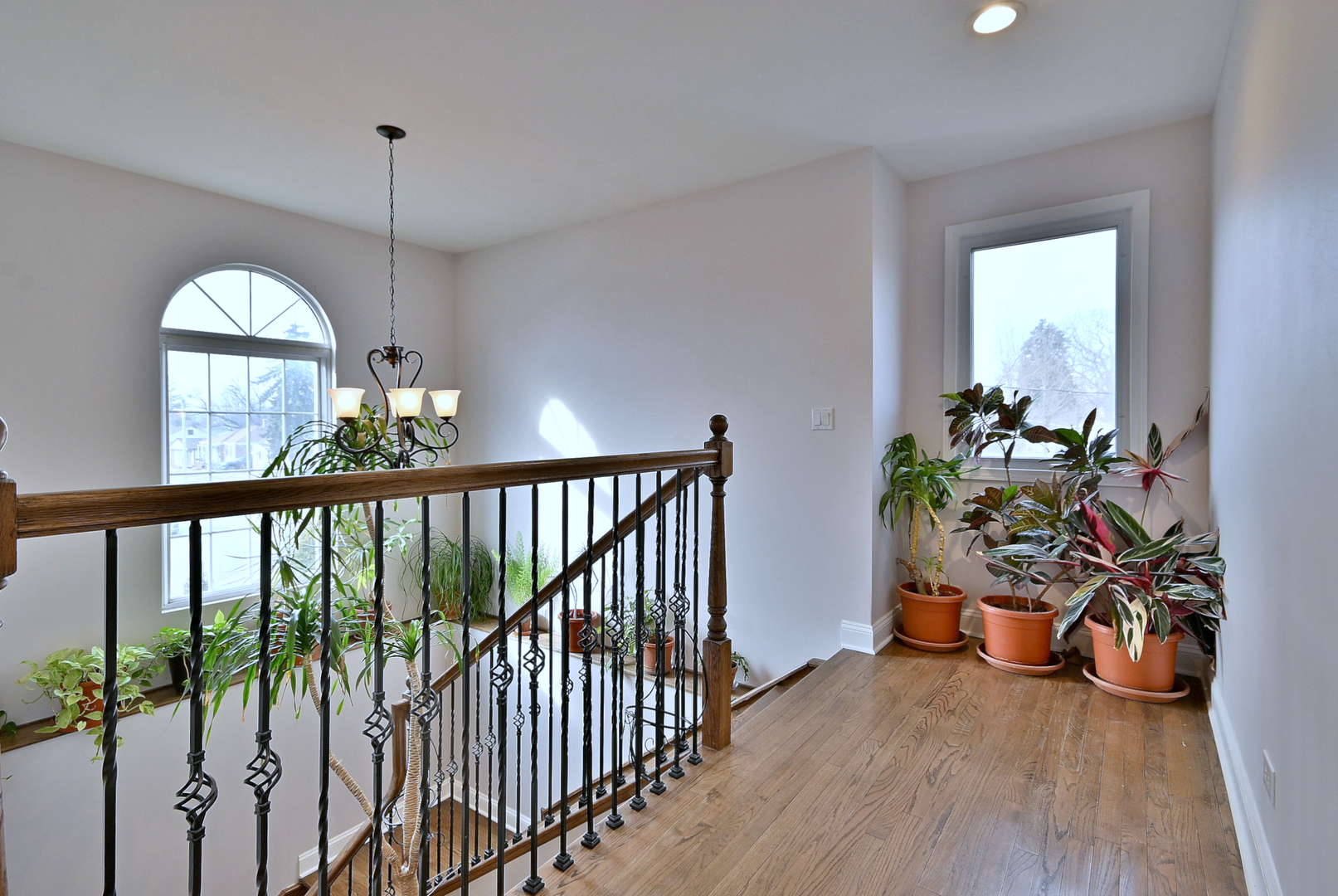 9730 Reeves Court Property Photo 21