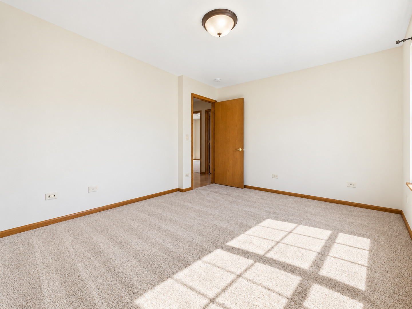 247 Alyssum Court Property Photo 16
