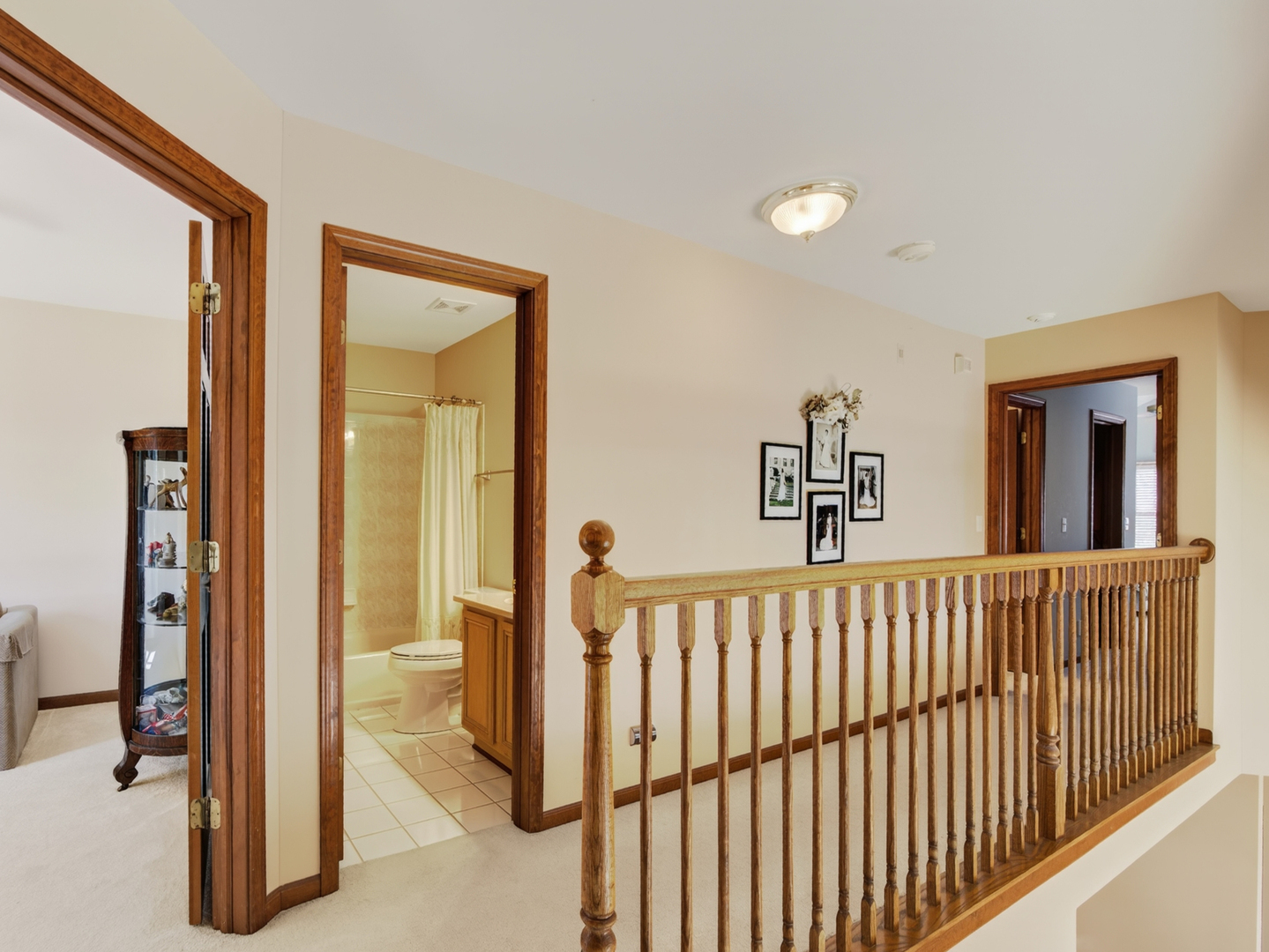 1428 Whitespire Court Property Photo 17