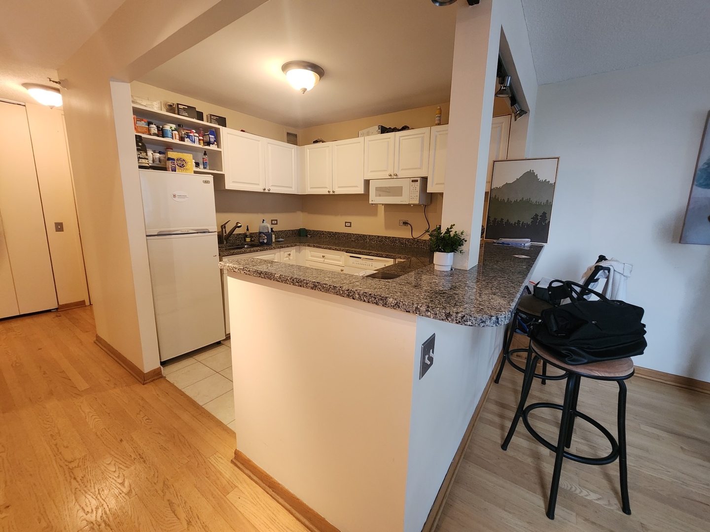 3660 N Lake Shore Drive 1105 Property Photo 4