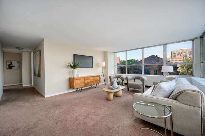 655 W Irving Park Road 410 Property Photo 4