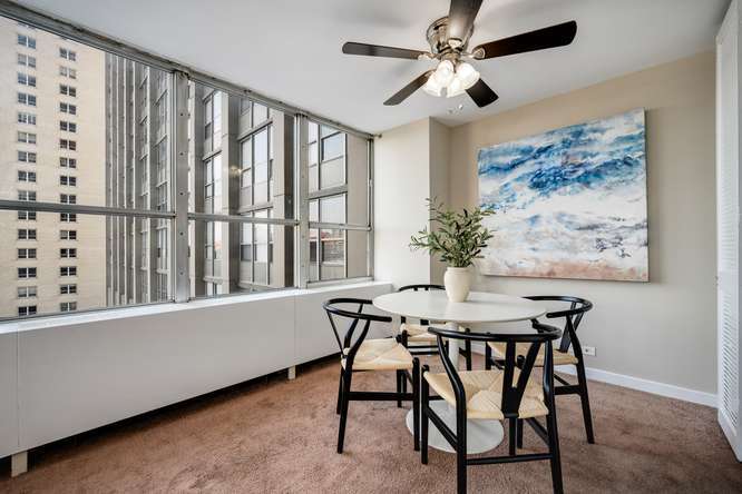 655 W Irving Park Road 410 Property Photo 6