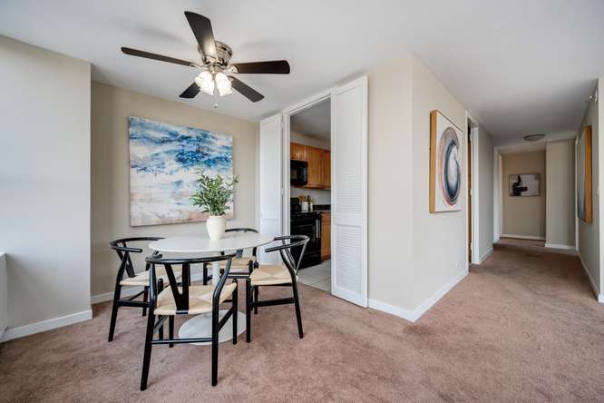 655 W Irving Park Road 410 Property Photo 7