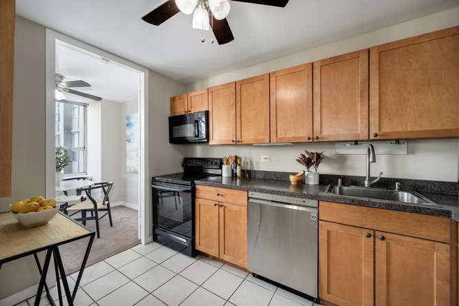 655 W Irving Park Road 410 Property Photo 8