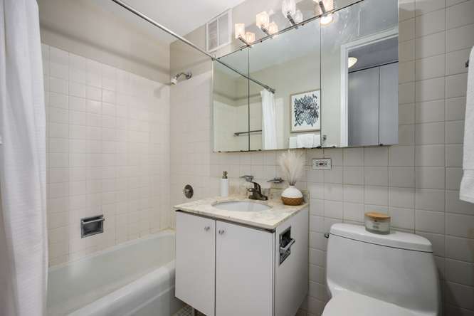 655 W Irving Park Road 410 Property Photo 13