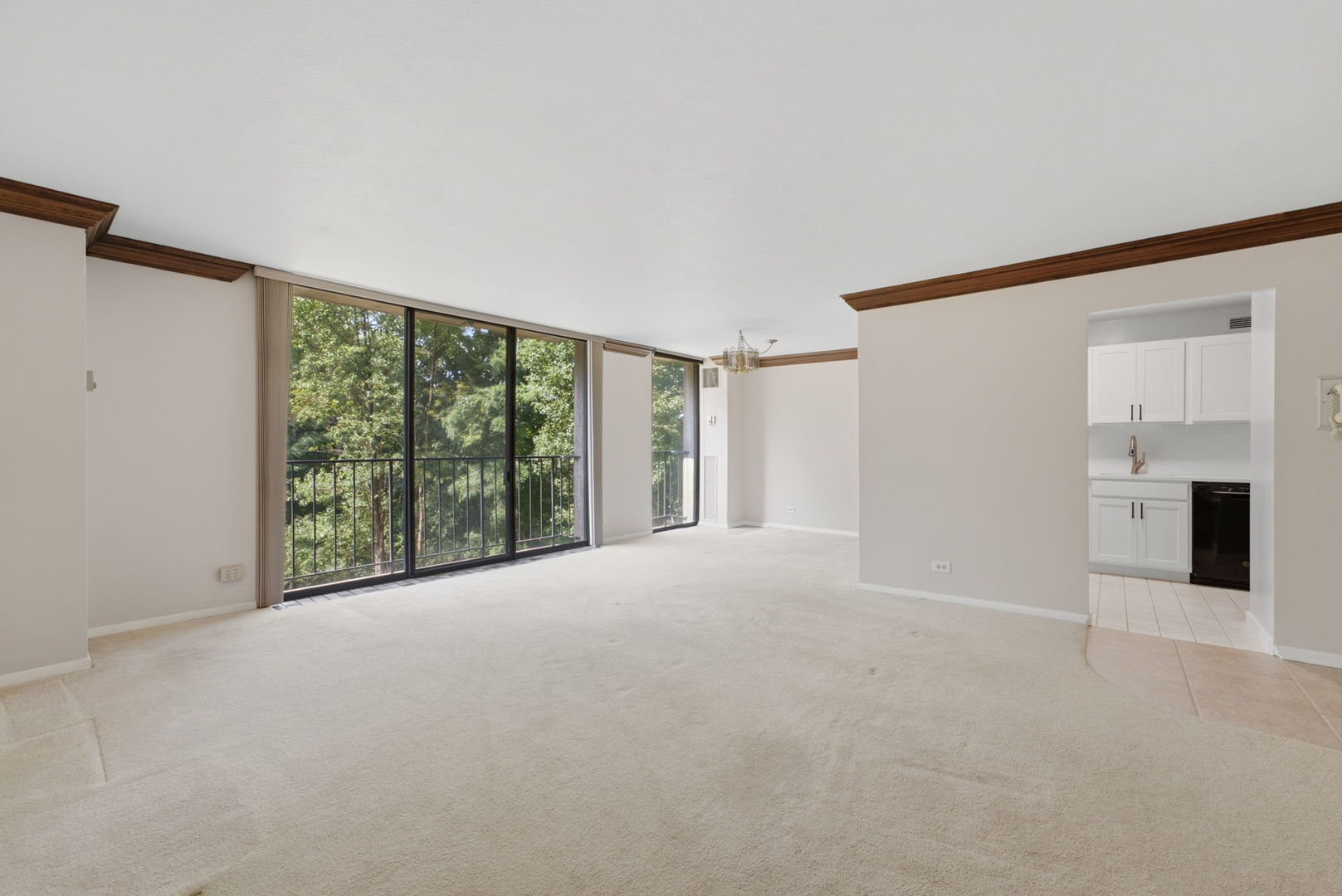 1800 7th Street 2a Property Photo 5