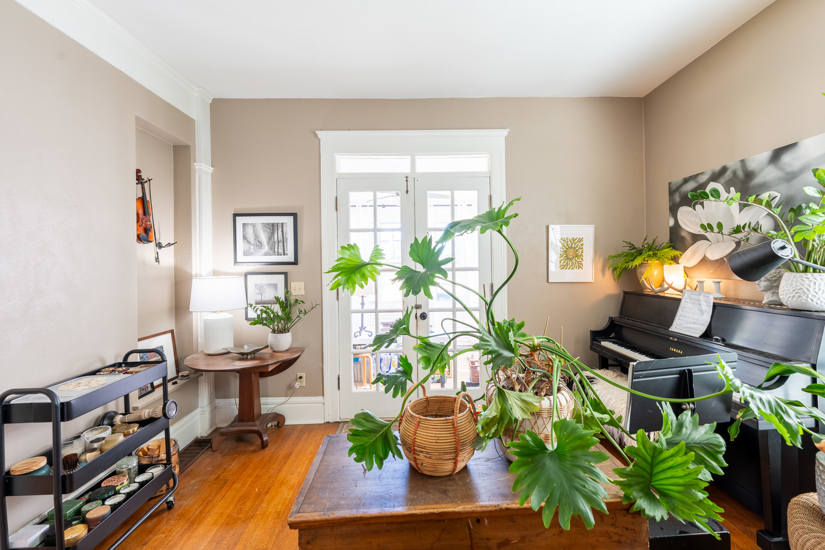 1227 W Stephenson Street Property Photo 5