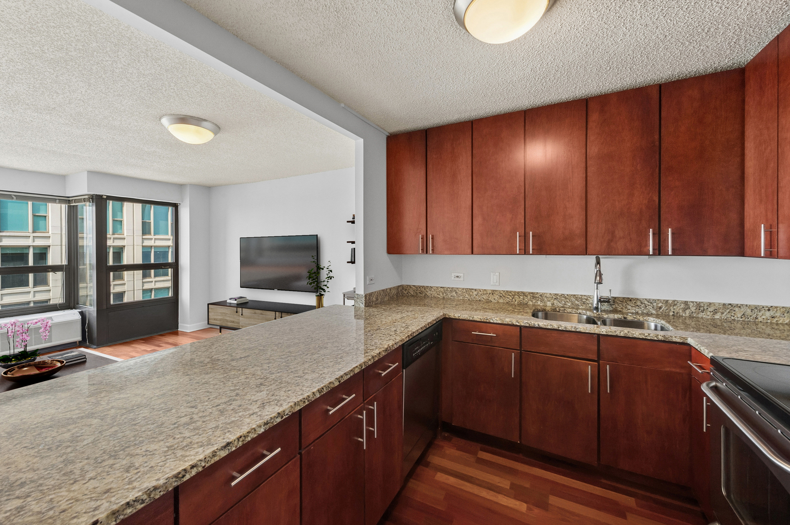 30 E Huron Street 5306 Property Photo 3