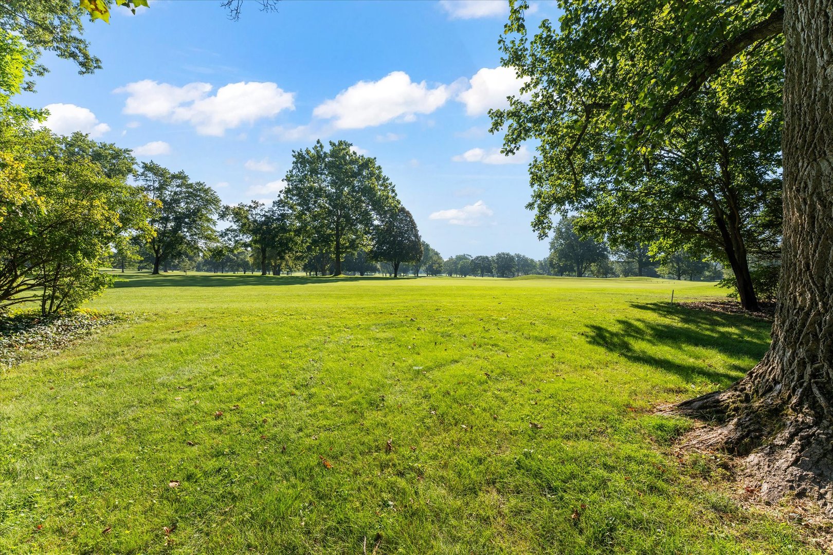 1110 Country Lane Property Photo 54