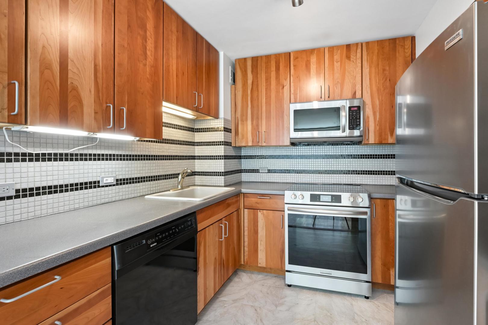 3600 N Lake Shore Drive 2209 Property Photo 15