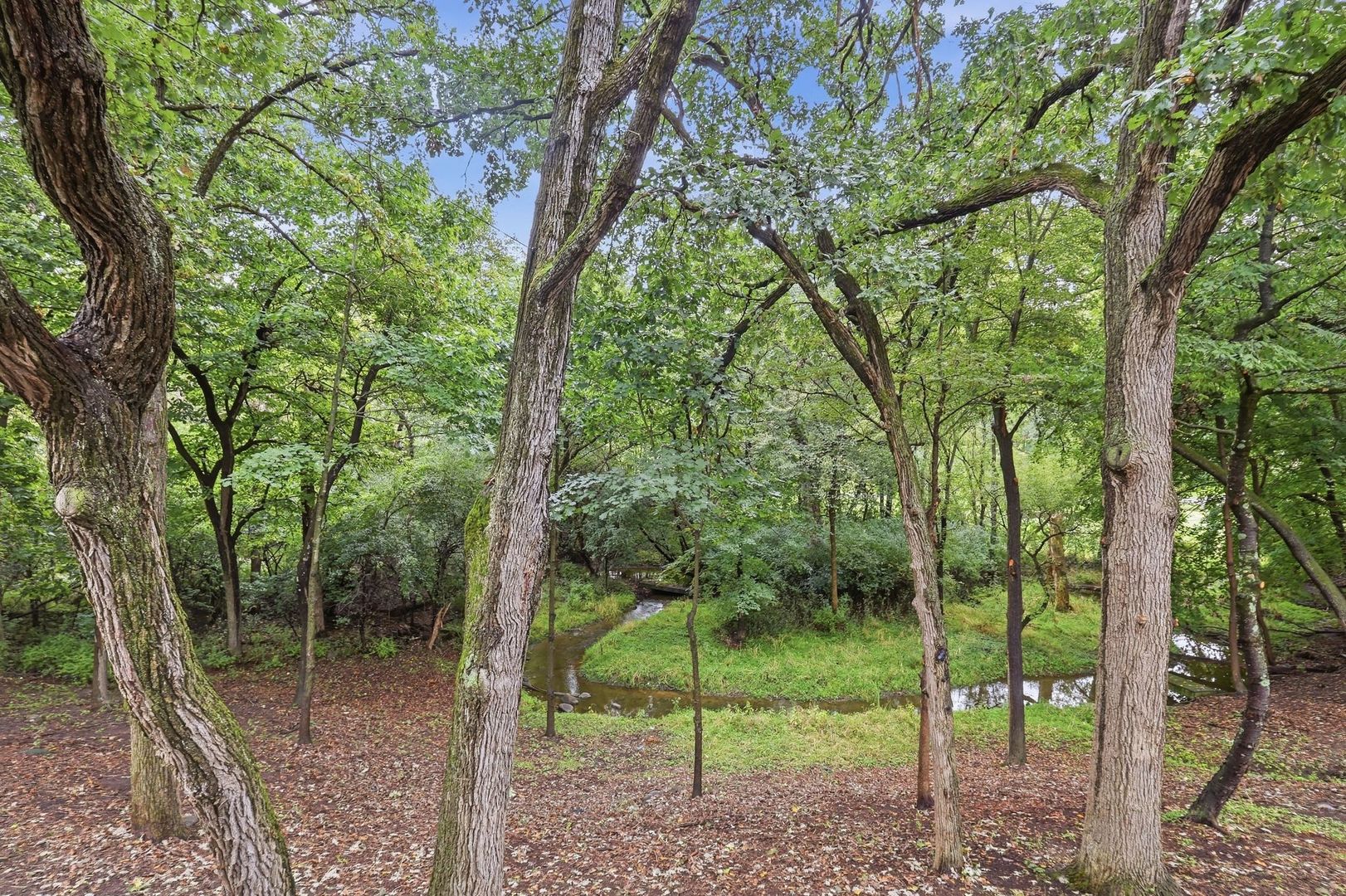 3 Hillburn Court Property Photo 67