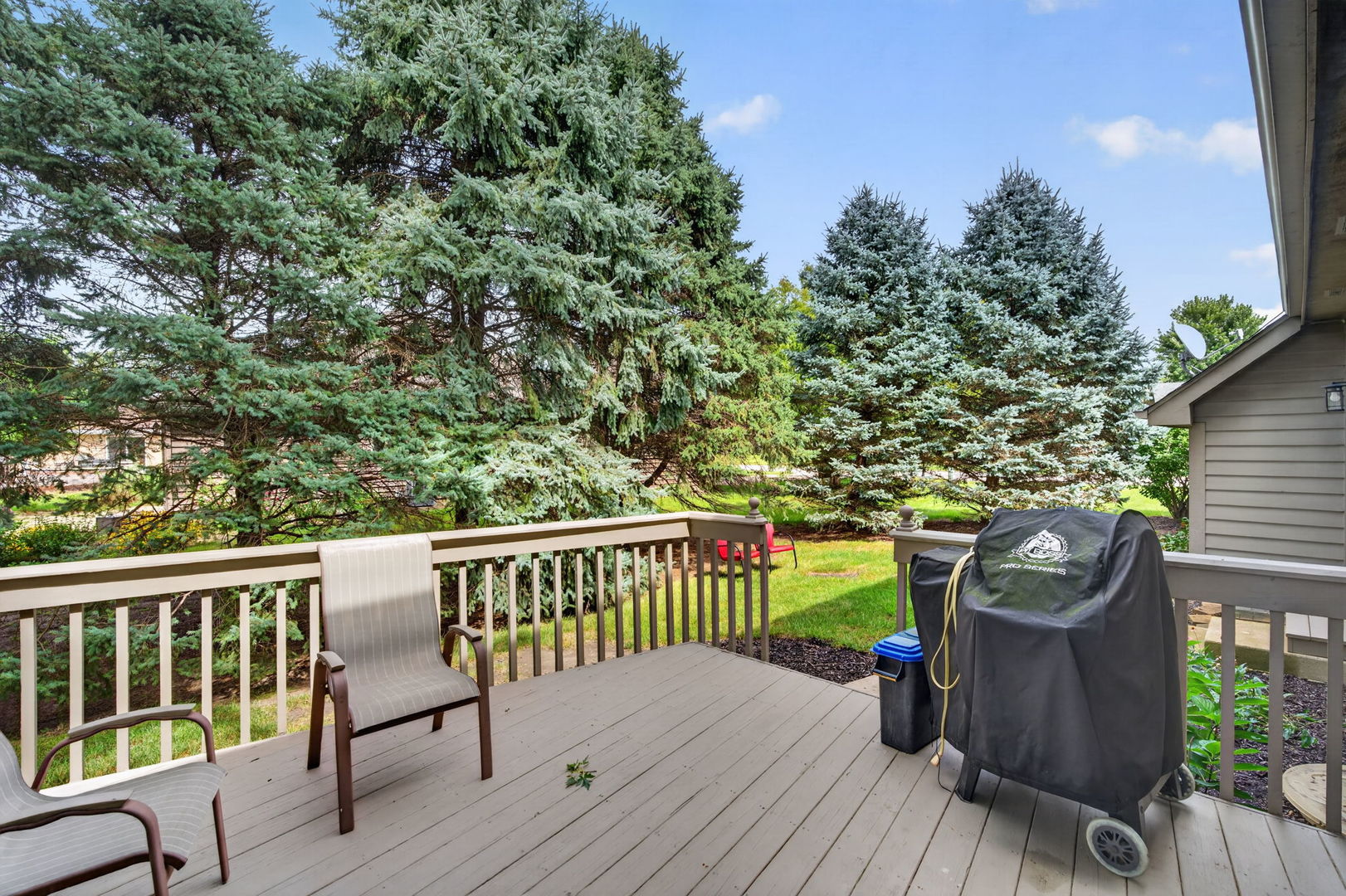 309 E Somonauk Street Property Photo 61