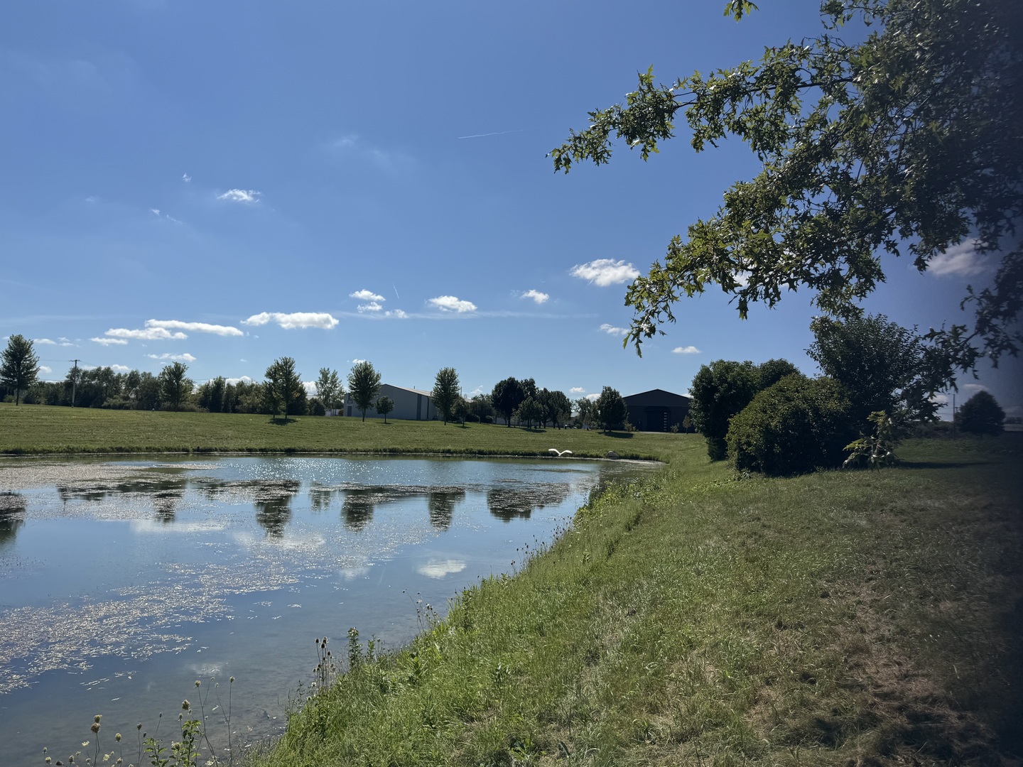 1026 S Schoolhouse Road Property Photo 14