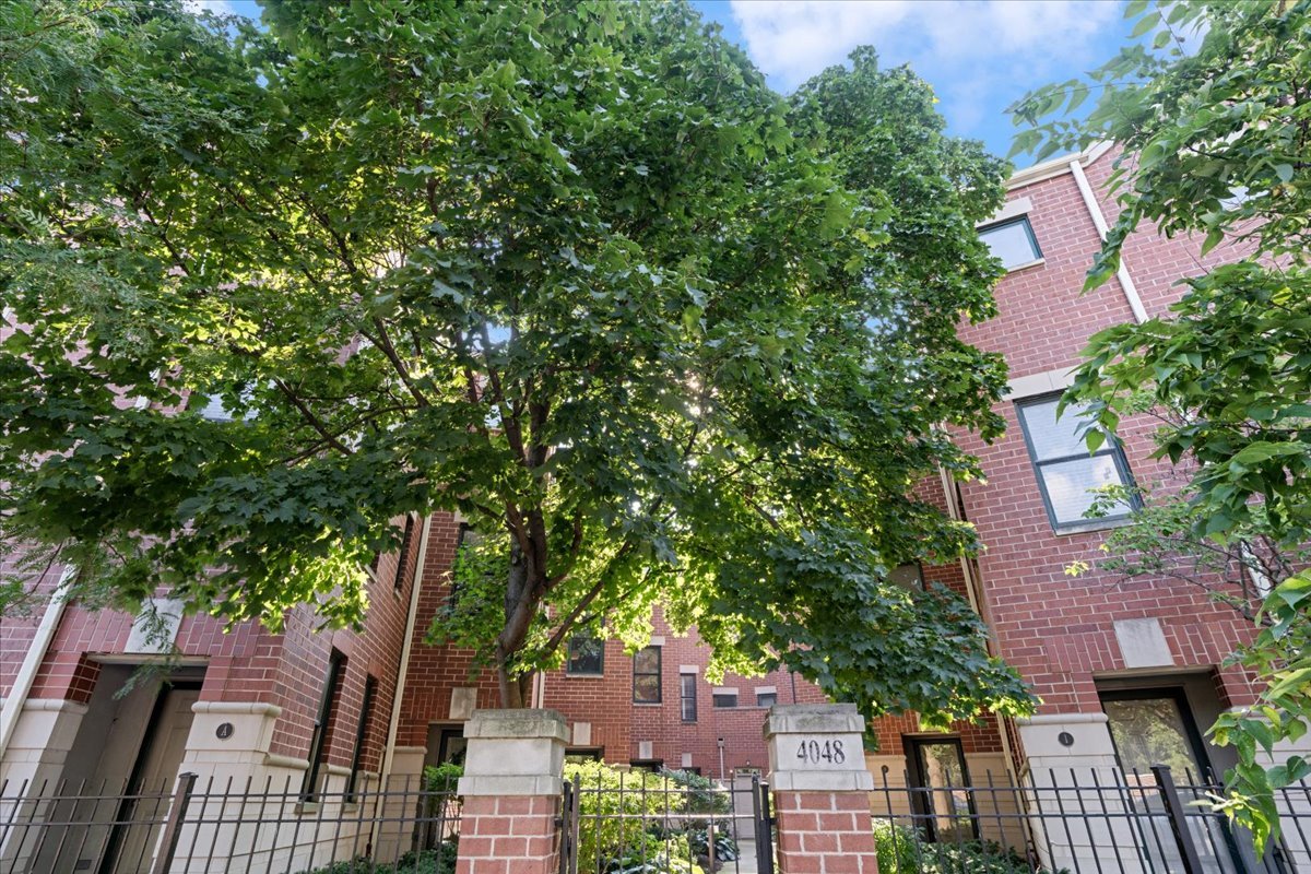 4048 N Clark Street D Property Photo 1