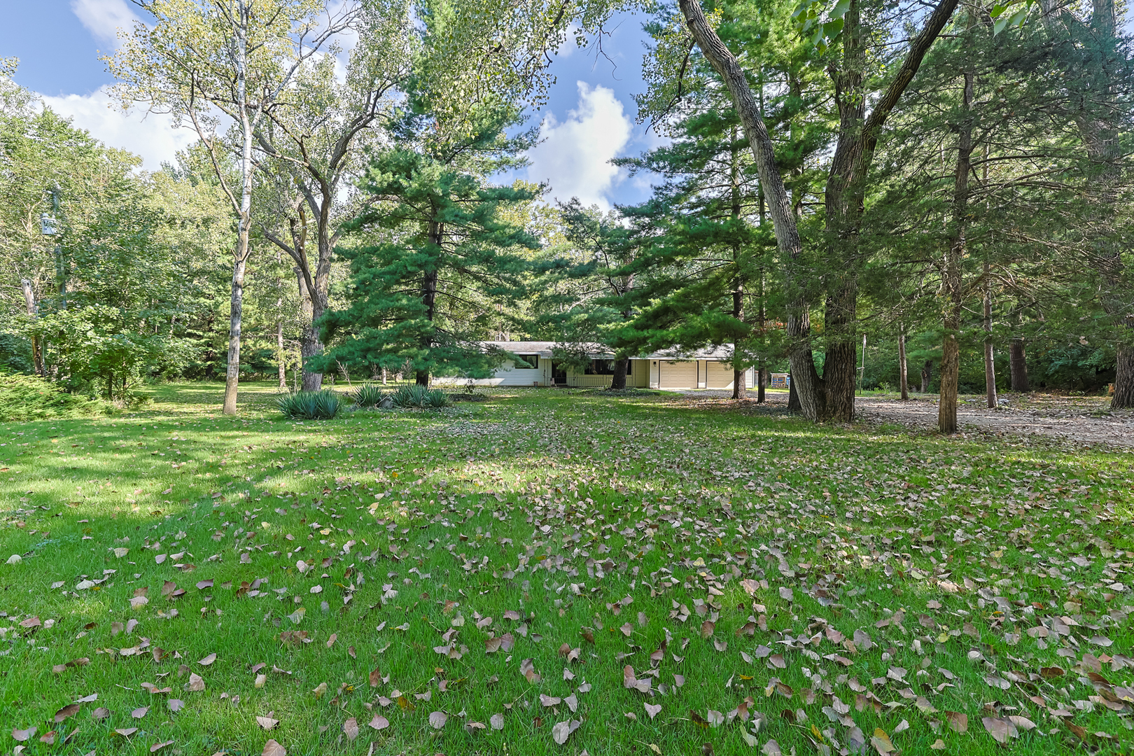 6130 E Deerfield Drive Property Photo 4