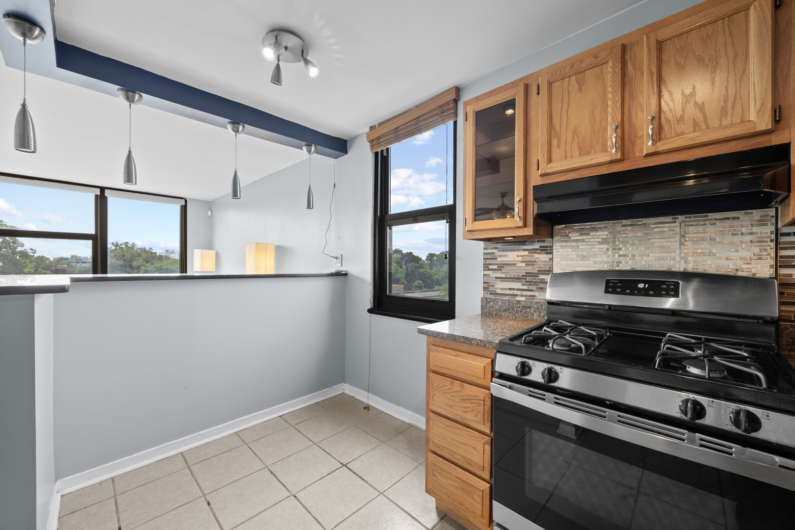 2901 S Michigan Avenue 405 Property Photo 8