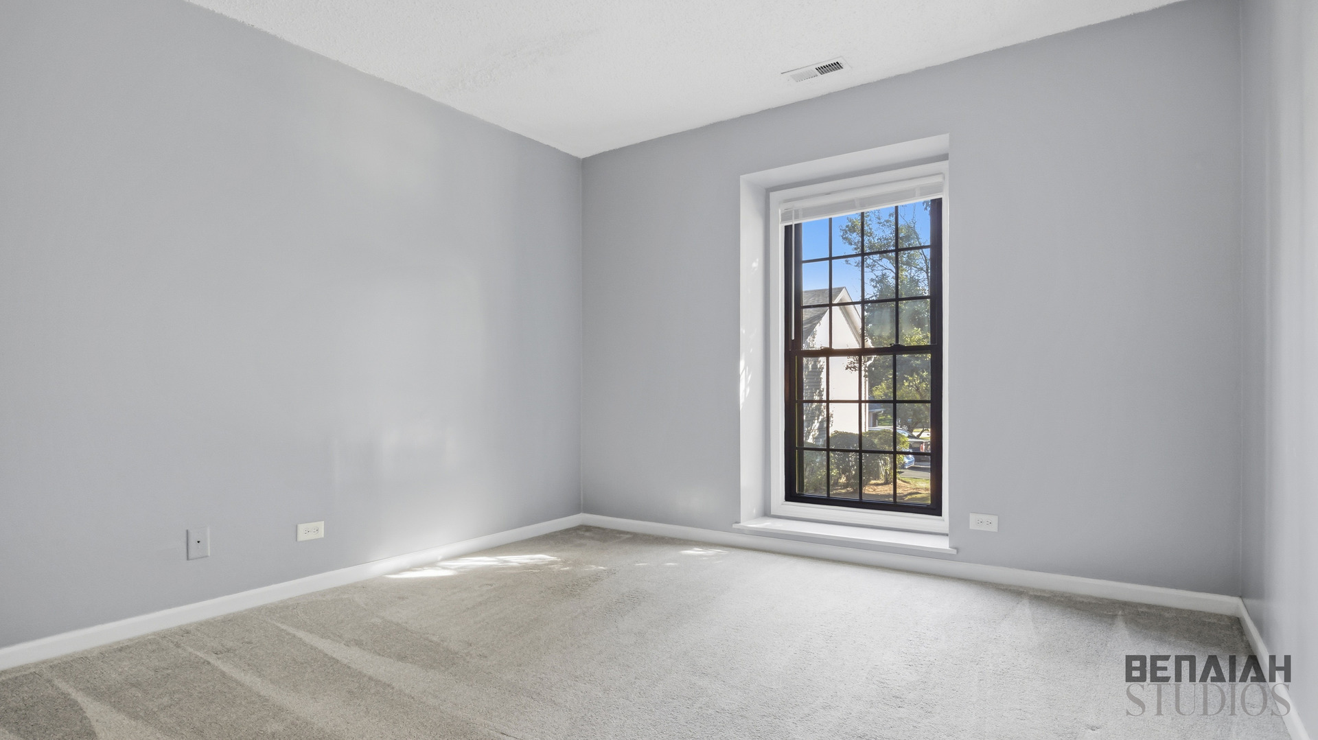 5s541 Paxton Drive G Property Photo 9