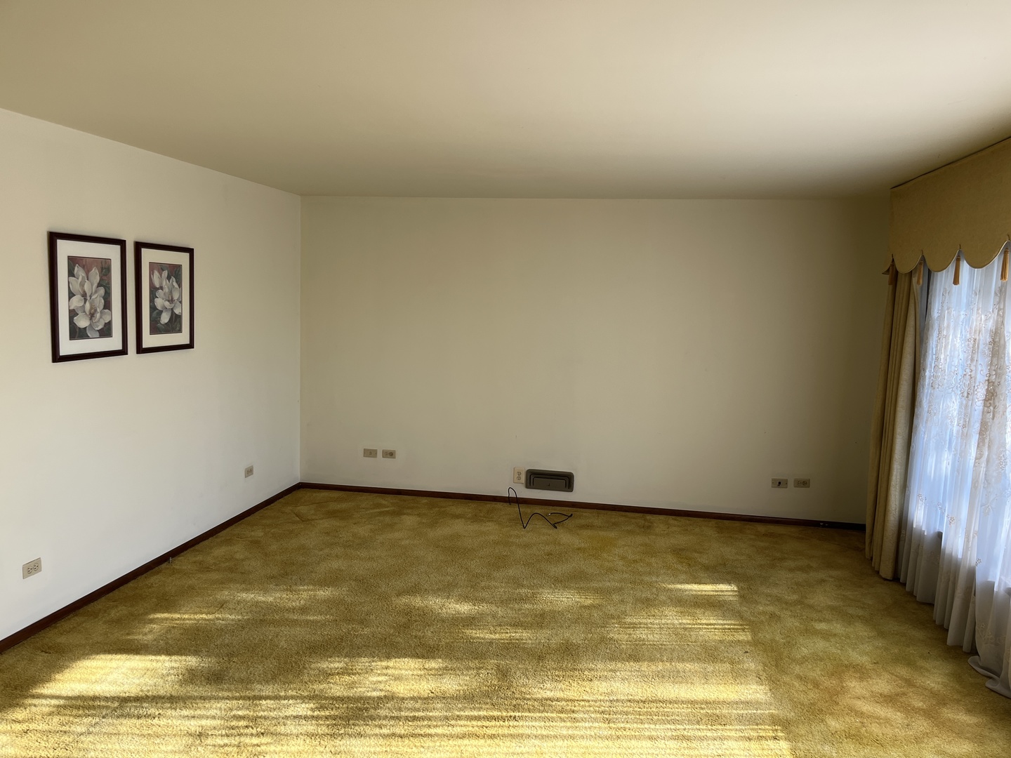 1620 Barthelone Street Property Photo 8